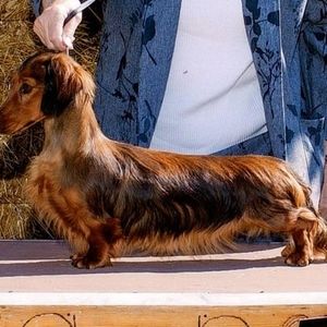 Meet your Posher, Linda